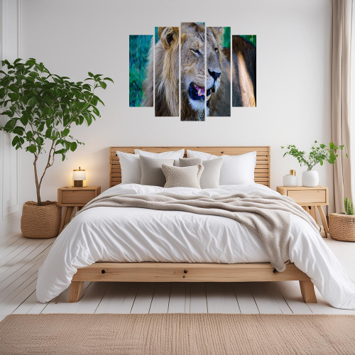 Young Lion 5- Piece Photo Panel